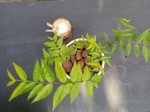 Homestay Golf & Coffee - Bi Phu Quoc