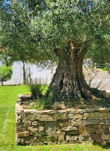 Villas Villa 5 stars at the end of Golf : photos des chambres