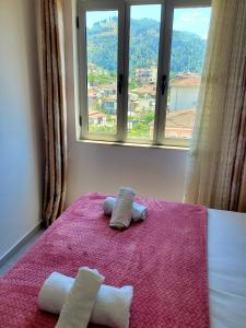 Skyline Apartment Berat Albania