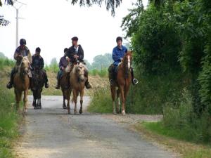 Maisons de vacances Cottage in Normandy near Forest & Lake : photos des chambres