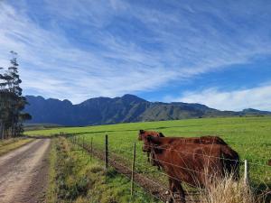 Ganskraal Farm Cottage