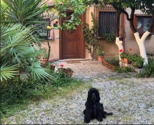 VILLINO TROCCOLI, appartamento Morena