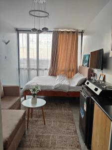 Fedha - A modern furnished Studio Apartment near JKIA and SGR free WIFI Parking