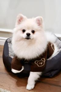 Best Western Plus Market Square Lviv