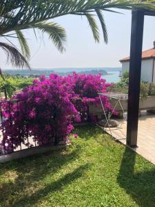 Apartments Portorose 