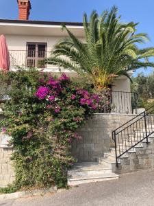 Apartments Portorose 