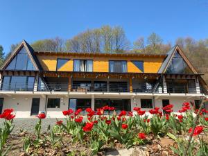 A Frame Pietrele Șoimului