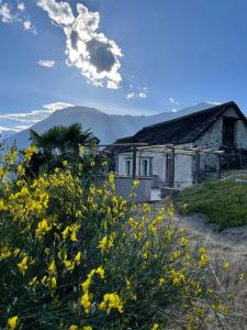 La Terrazza di Rivoria