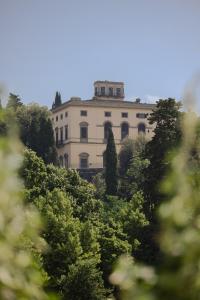 Your Family House in Florence