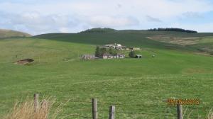 The old farm