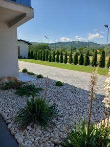 Casa Ambientt