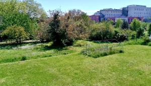 Appartements Le Havre d-Athena, App spacieux 2 chambres, Grand Jardin Prive, Sauna, WiFi & Abri Velos : photos des chambres