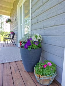 Small house with sauna