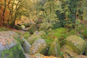 Appartements Gite Breton entre mer et foret : photos des chambres