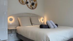 Appartements Au Petit Bonheur - Studio - Centre ville : photos des chambres