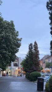 Phoenix Central Apartments Sibiu