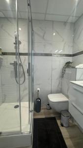 Appartements Au Petit Bonheur - Studio - Centre ville : photos des chambres