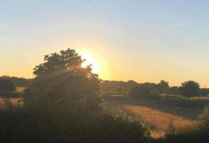 2 Guests - Garden Retreat with Balcony Views