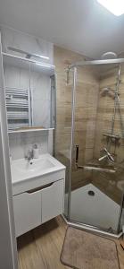 Apartament Przytulna Dębina