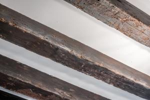 Apt Window on Venice