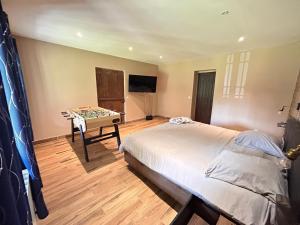 Appartements Un moment hors du temps - Jacuzzi - Sauna - Billard -Baby-Foot- Parking - 167 : photos des chambres