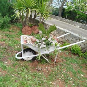 Villa Marga Stella dItria