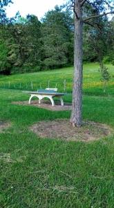 Campings Les tiny houses autonomes du val d-or : photos des chambres