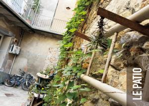 Appartements Pulpicool : photos des chambres