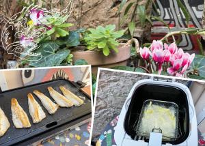 Appartements Pulpicool : photos des chambres