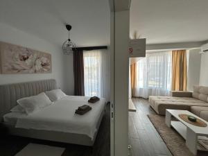 Zgonjanin Silver Lake