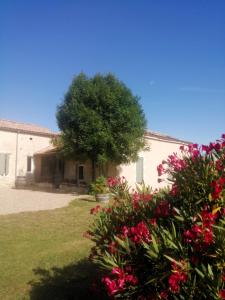 Maisons de vacances Le Hameau de Galice : photos des chambres