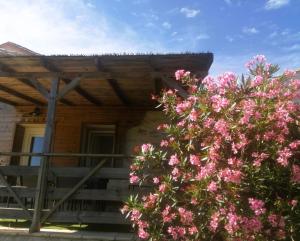 Maisons de vacances Le Hameau de Galice : photos des chambres