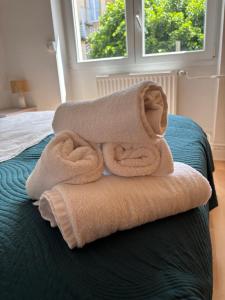 Appartements Le St-Arnould - Vue Cathedrale, central & calme : photos des chambres