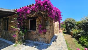 San Teodoro Beach Villa 86b img8