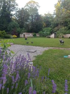 B&B / Chambres d'hotes Chateau de la Mothe : photos des chambres
