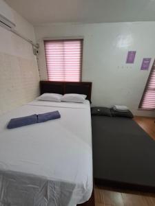 Entire 2 story-house in Navona Subdivision in lapu-lapu Mactan Cebu