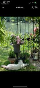 Le moulin de Sauvage