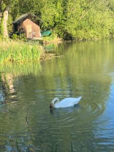 B&B / Chambres d'hotes Le moulin de Sauvage : photos des chambres