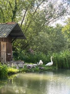 B&B / Chambres d'hotes Le moulin de Sauvage : photos des chambres