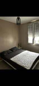 Tranquillité sur Perpignan