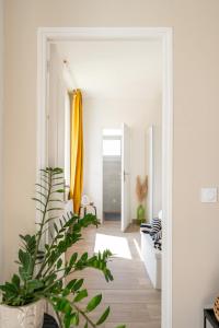 Appartements Bandol - Appartement Corneille : photos des chambres