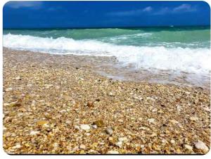 appartamento a Marzocca di Senigallia a 350 mt dal mare