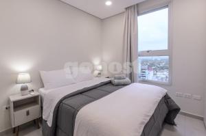 Modern 1 bed apt two blocks from Shop del Sol