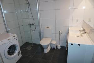 Private apartment near Voss resort