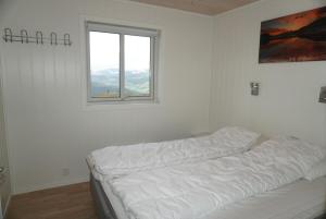 Apartment in Voss resort