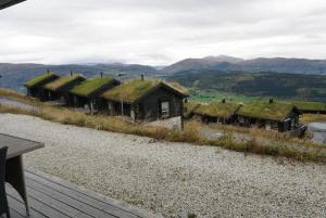 Private apartment near Voss resort