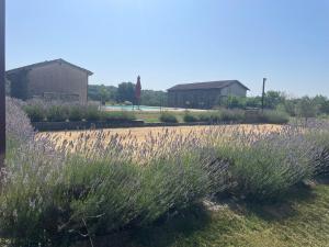 Maisons de vacances Le Clos des 4 Bastides : photos des chambres