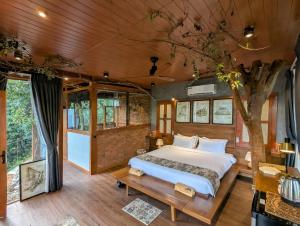 Trance rabara resort