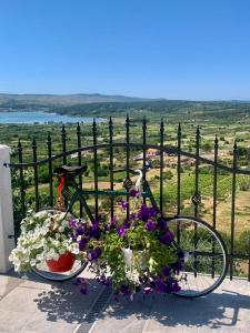 Vranac Country house Šibenik