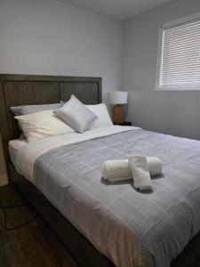 Springfield Kensington